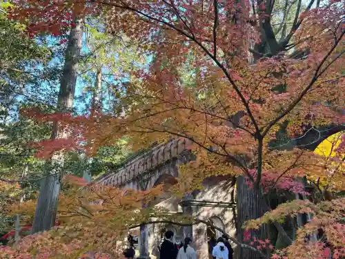 南禅寺(京都府)