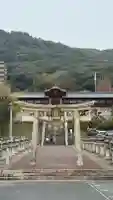 東照宮の{uncategorized: "未分類", other: "その他", undefined: "問題あり", building: "その他建物", grave: "お墓", sacred_gate: "鳥居", guardian: "狛犬", statue: "像", buddha: "仏像", history: "歴史", nature: "自然", garden: "庭園", animal: "動物", pagoda: "塔", temizu: "手水舎", mountain_gate: "山門・神門", sanctuary: "本殿・本堂", subordinate: "末社・摂社", art: "芸術", scenery: "景色", jizo: "地蔵", ema: "絵馬", goshuin: "御朱印", omikuji: "おみくじ", items: "授与品その他", amulet: "お守り", goshuincho: "御朱印帳", eats: "食事", festival: "お祭り", votive_dance: "神楽", shichigosan: "七五三参", wedding: "結婚式", experience: "体験その他", initially: "初詣", around: "周辺", anti_infection: "感染症対策"}