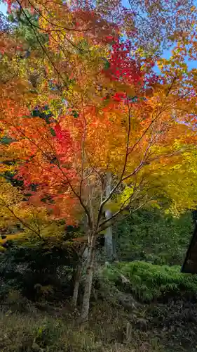 善妙大明神(京都府)