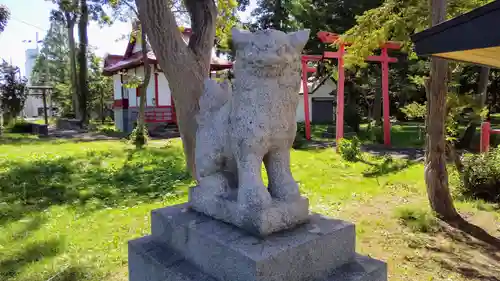 空知神社の狛犬