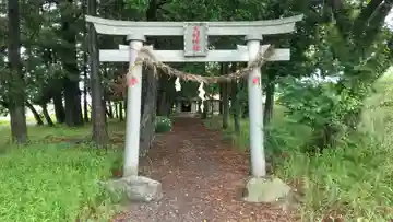 大杉神社(栃木県)