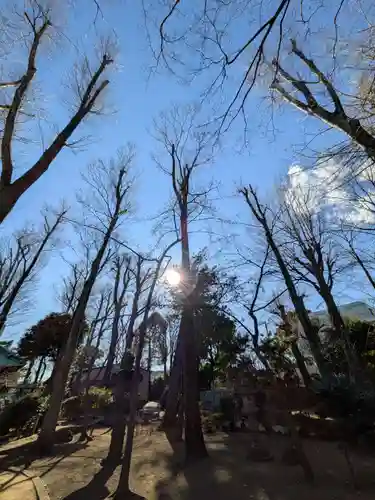 妙法寺(東京都)