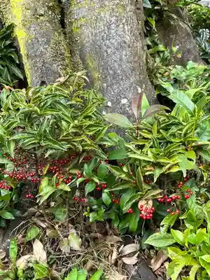 大野神社(滋賀県)