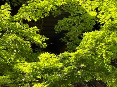 武水別神社(長野県)