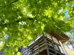 長楽寺(長野県)