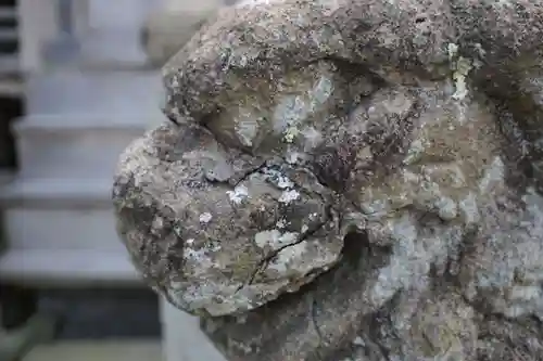 粟嶋神社の狛犬