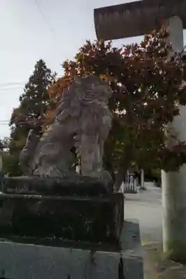 飛騨総社の狛犬