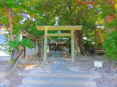 神明社(甲新田甲中)の鳥居