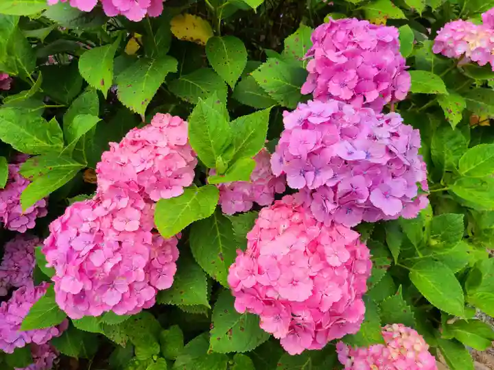 千光寺(福岡県)