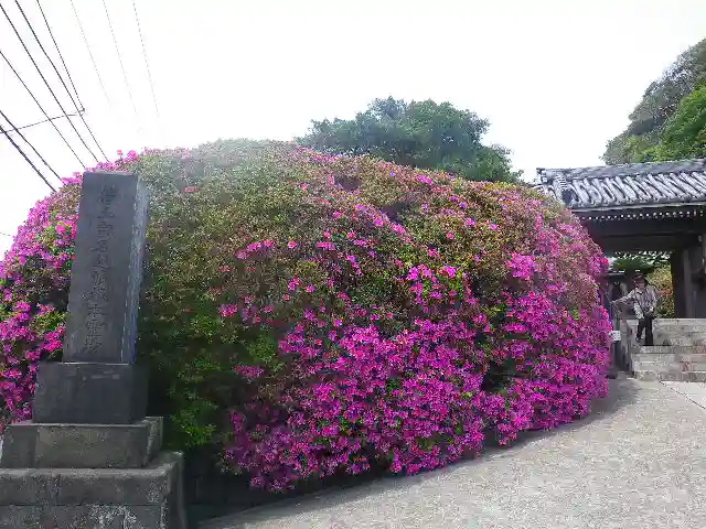 安養院 (田代寺)の周辺