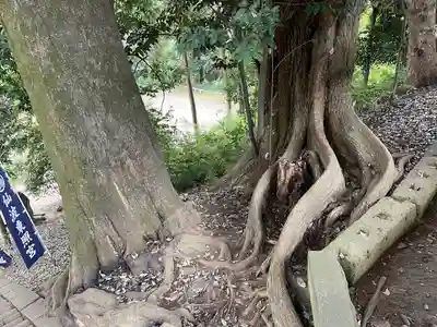 仙波東照宮(埼玉県)