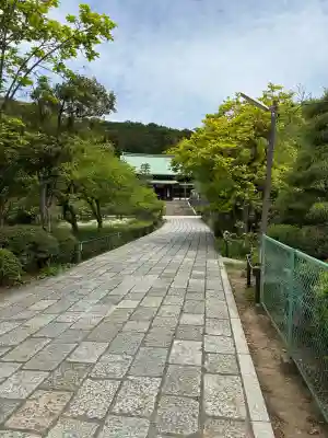 龍寳寺（龍宝寺）の{uncategorized: "未分類", other: "その他", undefined: "問題あり", building: "その他建物", grave: "お墓", sacred_gate: "鳥居", guardian: "狛犬", statue: "像", buddha: "仏像", history: "歴史", nature: "自然", garden: "庭園", animal: "動物", pagoda: "塔", temizu: "手水舎", mountain_gate: "山門・神門", sanctuary: "本殿・本堂", subordinate: "末社・摂社", art: "芸術", scenery: "景色", jizo: "地蔵", ema: "絵馬", goshuin: "御朱印", omikuji: "おみくじ", items: "授与品その他", amulet: "お守り", goshuincho: "御朱印帳", eats: "食事", festival: "お祭り", votive_dance: "神楽", shichigosan: "七五三参", wedding: "結婚式", experience: "体験その他", initially: "初詣", around: "周辺", anti_infection: "感染症対策"}