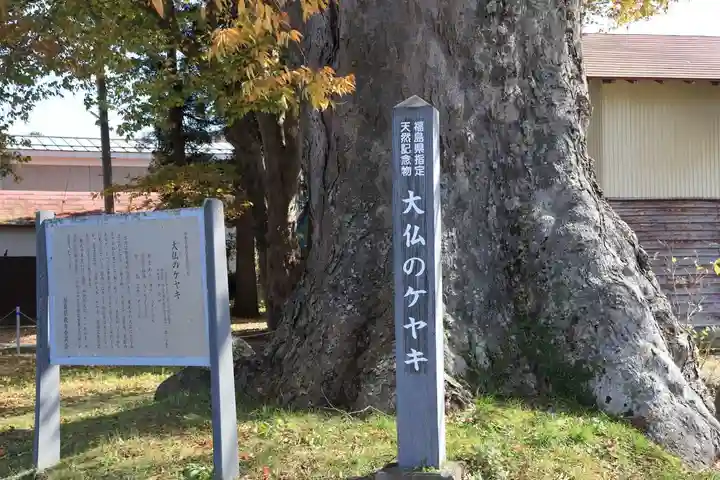 東光寺の自然