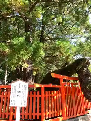 香椎宮(福岡県)