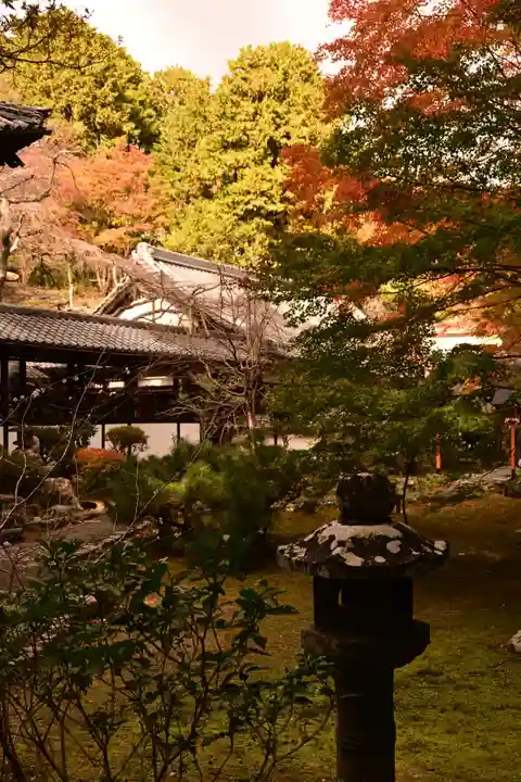 十輪寺(京都府)