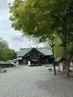 千歳神社の{uncategorized: "未分類", other: "その他", undefined: "問題あり", building: "その他建物", grave: "お墓", sacred_gate: "鳥居", guardian: "狛犬", statue: "像", buddha: "仏像", history: "歴史", nature: "自然", garden: "庭園", animal: "動物", pagoda: "塔", temizu: "手水舎", mountain_gate: "山門・神門", sanctuary: "本殿・本堂", subordinate: "末社・摂社", art: "芸術", scenery: "景色", jizo: "地蔵", ema: "絵馬", goshuin: "御朱印", omikuji: "おみくじ", items: "授与品その他", amulet: "お守り", goshuincho: "御朱印帳", eats: "食事", festival: "お祭り", votive_dance: "神楽", shichigosan: "七五三参", wedding: "結婚式", experience: "体験その他", initially: "初詣", around: "周辺", anti_infection: "感染症対策"}