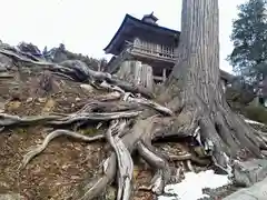 正法寺の建物その他