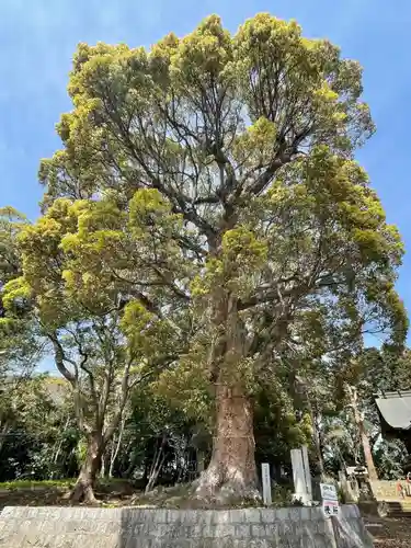 廣旗八幡宮(福岡県)
