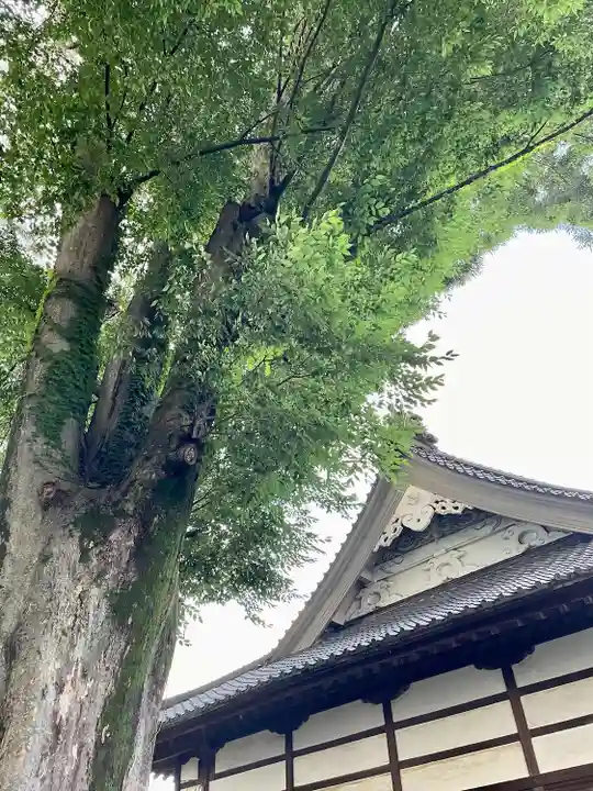 清巌寺(栃木県)
