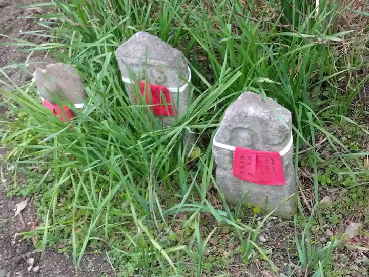般若寺 ❁コスモス寺❁(奈良県)