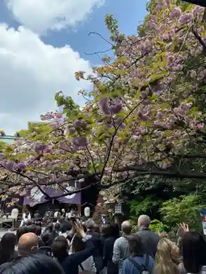 東京大神宮(東京都)