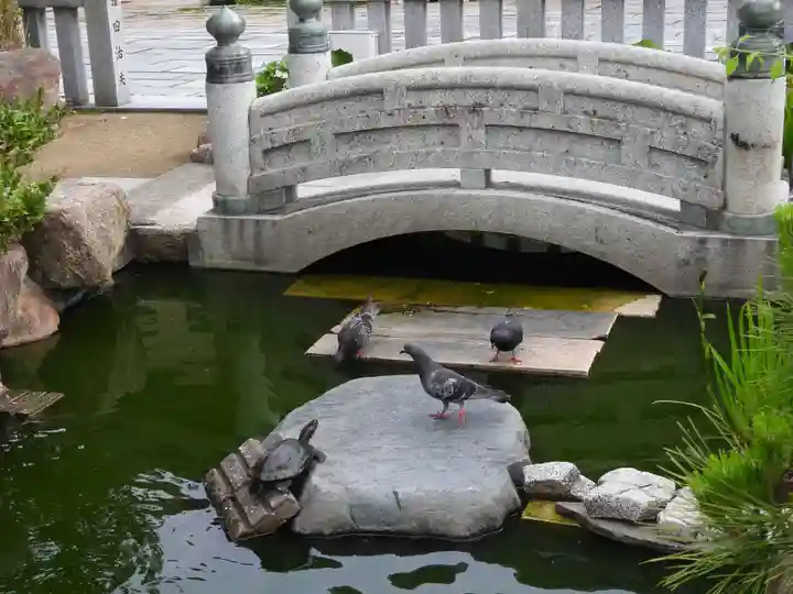 亀山八幡宮(山口県)