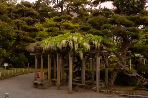 白山神社(新潟県)