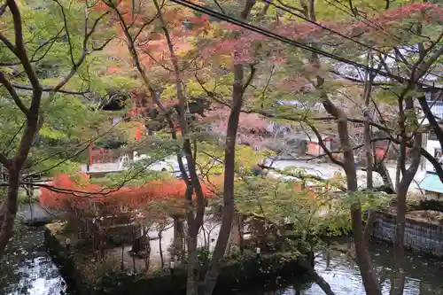 談山神社の自然