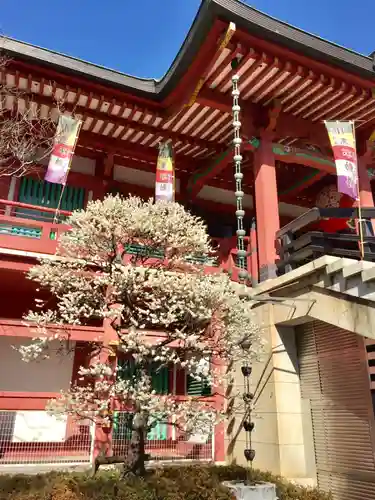 瀧泉寺（目黒不動尊）の本殿・本堂