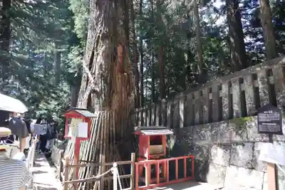 日光東照宮奥宮拝殿(栃木県)