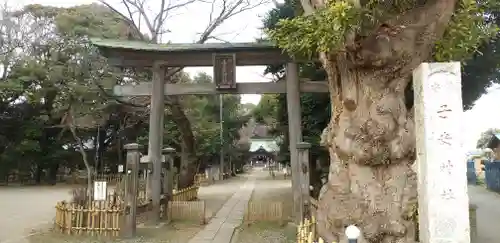 畑子安神社の鳥居