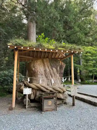 小國神社の{uncategorized: "未分類", other: "その他", undefined: "問題あり", building: "その他建物", grave: "お墓", sacred_gate: "鳥居", guardian: "狛犬", statue: "像", buddha: "仏像", history: "歴史", nature: "自然", garden: "庭園", animal: "動物", pagoda: "塔", temizu: "手水舎", mountain_gate: "山門・神門", sanctuary: "本殿・本堂", subordinate: "末社・摂社", art: "芸術", scenery: "景色", jizo: "地蔵", ema: "絵馬", goshuin: "御朱印", omikuji: "おみくじ", items: "授与品その他", amulet: "お守り", goshuincho: "御朱印帳", eats: "食事", festival: "お祭り", votive_dance: "神楽", shichigosan: "七五三参", wedding: "結婚式", experience: "体験その他", initially: "初詣", around: "周辺", anti_infection: "感染症対策"}