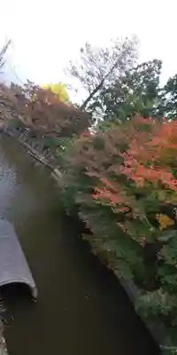 稗田野神社(薭田野神社)の自然