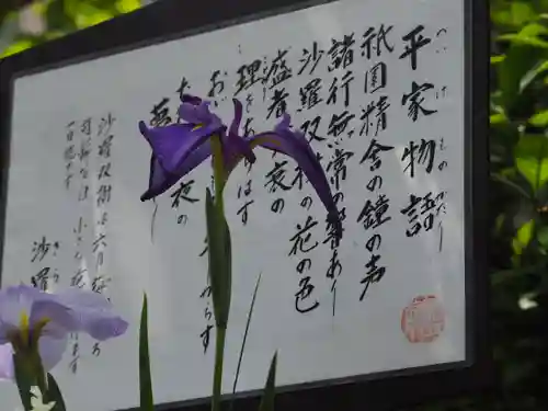 明月院(神奈川県)