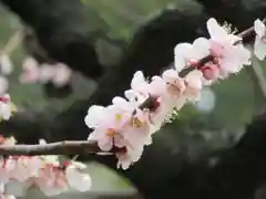 伊勢神宮内宮（皇大神宮）の庭園