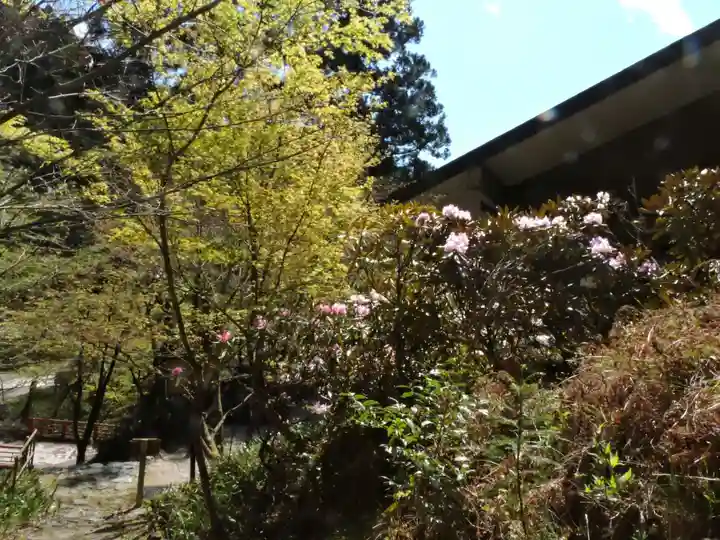 横蔵寺(岐阜県)