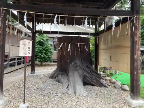 須賀神社(栃木県)