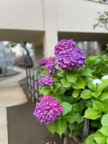 福王山  慈眼寺の自然