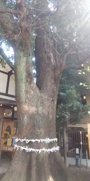 上目黒氷川神社(東京都)