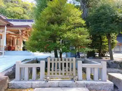 針名神社の自然