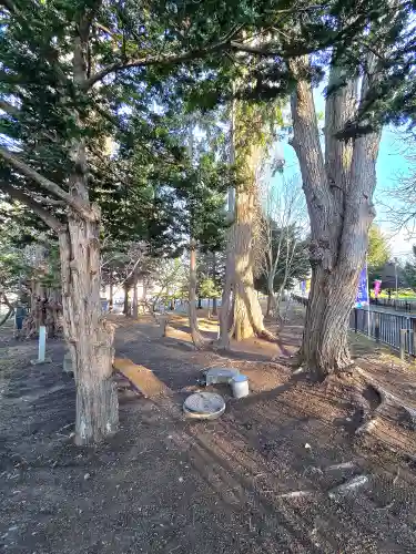 美幌神社(北海道)