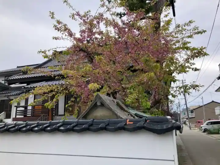 宝塔寺の{uncategorized: "未分類", other: "その他", undefined: "問題あり", building: "その他建物", grave: "お墓", sacred_gate: "鳥居", guardian: "狛犬", statue: "像", buddha: "仏像", history: "歴史", nature: "自然", garden: "庭園", animal: "動物", pagoda: "塔", temizu: "手水舎", mountain_gate: "山門・神門", sanctuary: "本殿・本堂", subordinate: "末社・摂社", art: "芸術", scenery: "景色", jizo: "地蔵", ema: "絵馬", goshuin: "御朱印", omikuji: "おみくじ", items: "授与品その他", amulet: "お守り", goshuincho: "御朱印帳", eats: "食事", festival: "お祭り", votive_dance: "神楽", shichigosan: "七五三参", wedding: "結婚式", experience: "体験その他", initially: "初詣", around: "周辺", anti_infection: "感染症対策"}