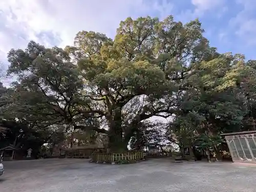 高良大社(福岡県)