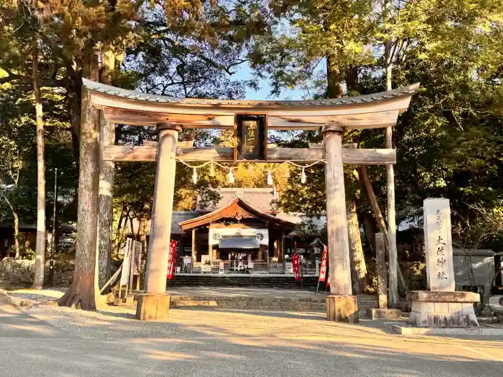 土佐神社の{uncategorized: "未分類", other: "その他", undefined: "問題あり", building: "その他建物", grave: "お墓", sacred_gate: "鳥居", guardian: "狛犬", statue: "像", buddha: "仏像", history: "歴史", nature: "自然", garden: "庭園", animal: "動物", pagoda: "塔", temizu: "手水舎", mountain_gate: "山門・神門", sanctuary: "本殿・本堂", subordinate: "末社・摂社", art: "芸術", scenery: "景色", jizo: "地蔵", ema: "絵馬", goshuin: "御朱印", omikuji: "おみくじ", items: "授与品その他", amulet: "お守り", goshuincho: "御朱印帳", eats: "食事", festival: "お祭り", votive_dance: "神楽", shichigosan: "七五三参", wedding: "結婚式", experience: "体験その他", initially: "初詣", around: "周辺", anti_infection: "感染症対策"}