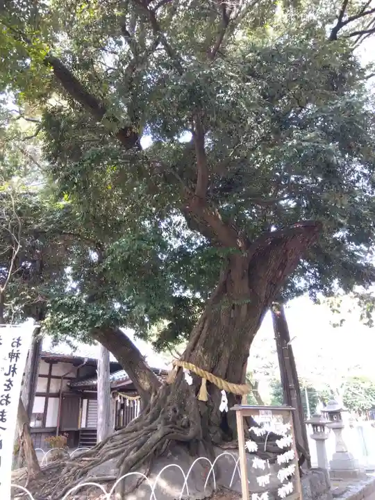 豊川進雄神社(愛知県)