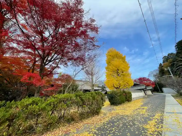 本誓寺(東本誓寺)(滋賀県)