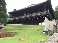 東大寺 二月堂(奈良県)