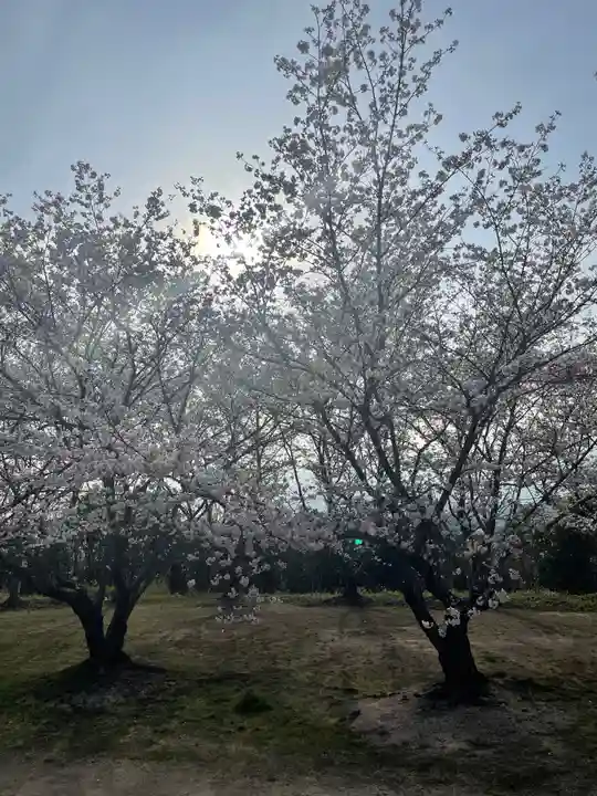 貴船神社の自然