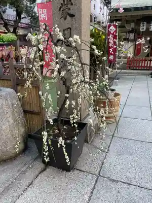 露天神社（お初天神）(大阪府)