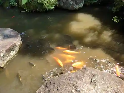 達磨寺の庭園